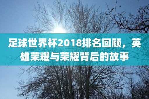足球世界杯2018排名回顾，英雄荣耀与荣耀背后的故事金炬实业股份有限公司