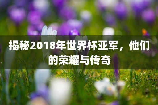 揭秘2018年世界杯亚军，他们的荣金炬实业股份有限公司耀与传奇