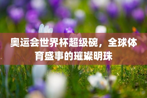 奥运会世界杯超级碗，全球体育盛事的璀璨明珠