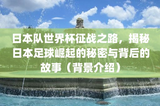 日本队世界杯征战之路，揭秘日本足球崛起的秘密与背后的故事（背景介绍）金炬实业股份有限公司