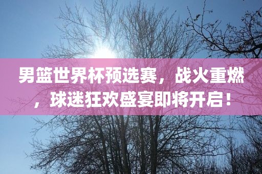男篮世界杯预选赛，战火重燃，球迷狂欢盛宴即将开启！金炬实业股份有限公司
