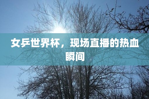 女乒世界杯，现场直播的热血瞬间