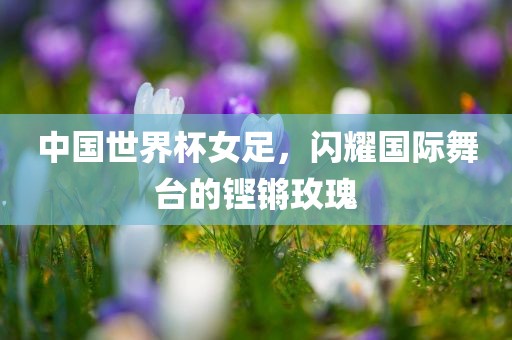 中国世界杯女足，闪耀国际舞台的铿锵玫瑰