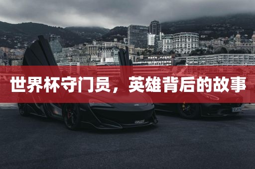 世界杯守门员，英雄背后的故事