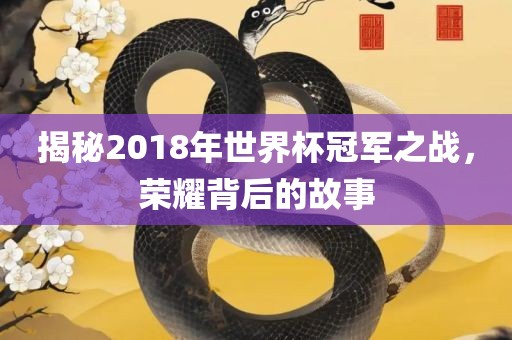 揭秘2018年世界杯冠军之战，荣耀背后的故事
