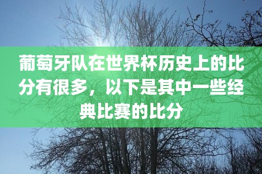 葡萄牙队在世界杯历史上的比分有很多，以下是其中一些经典比赛的比分