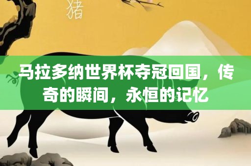 马拉多纳世界杯夺冠回国，传奇的瞬间，永恒的记忆