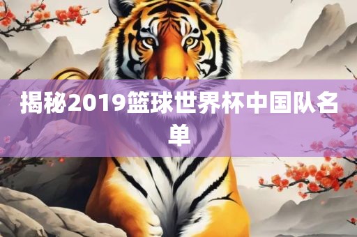 揭秘2019篮球世界杯中国队名单