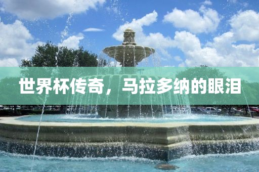 世界杯传奇，马拉多纳的眼泪金炬实业股份有限公司