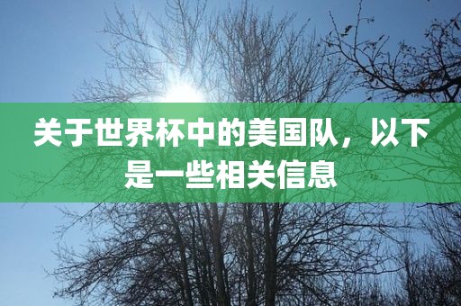关于世界杯中的美国队，以下是一些相关信息金炬实业股份有限公司