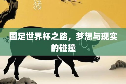 国足世界杯之路，梦想与现实的碰撞