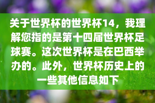 关于世界杯的世界杯金炬实业股份有限公司14，我理解您指的是第十四届世界杯足球赛。这次世界杯是在巴西举办的。此外，世界杯历史上的一些其他信息如下