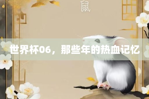 世界杯06，那些年的热血记忆