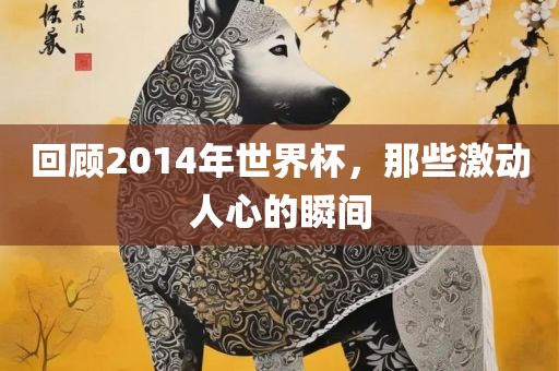 回顾2014年世界杯，那些激动人心的瞬间