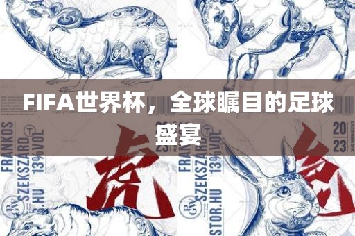 足球盛宴 第6页