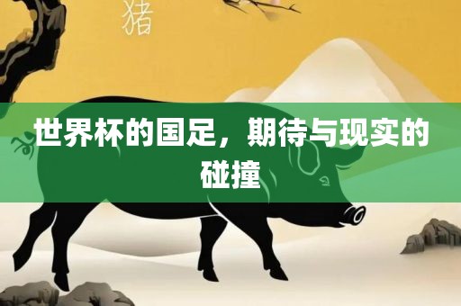 世界杯的国足，期待与现实的碰撞