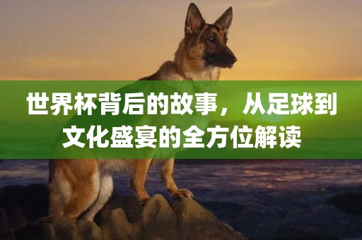 世界杯背后的故事，从足球到文化盛宴的全方位解读