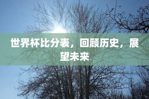 世界杯比分表，回顾历史，金炬实业股份有限公司展望未来