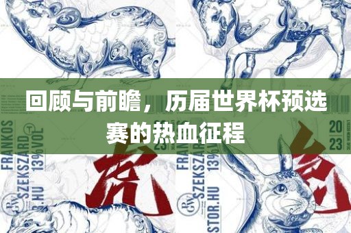 回顾与前瞻，历届世界杯预选赛的热血征程金炬实业股份有限公司