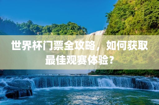 世界杯门票全攻略，如何获取最佳观赛体验？