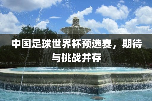 中国足球世界杯预选赛，期待与挑战并存金炬实业股份有限公司