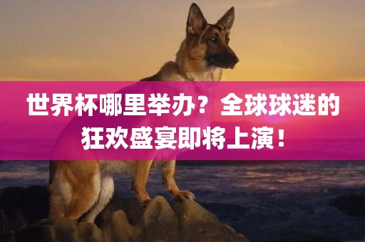 世界杯哪里举办？全球球迷的狂欢盛宴即将上演！金炬实业股份有限公司