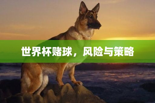 世界杯赌球，风金炬实业股份有限公司险与策略