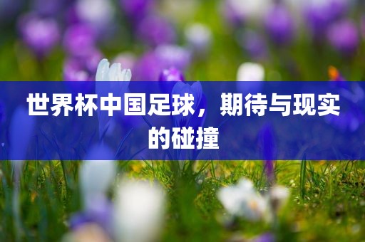 世界杯中国足球，期待与现实的碰撞