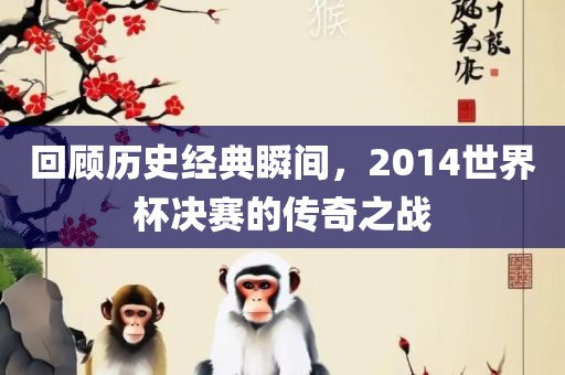 回顾历史经典瞬间，2014世界杯决赛的传奇之战