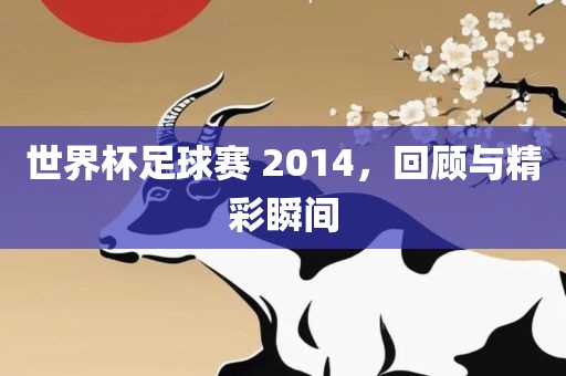 世界杯足球赛 2014，回顾与精彩瞬间