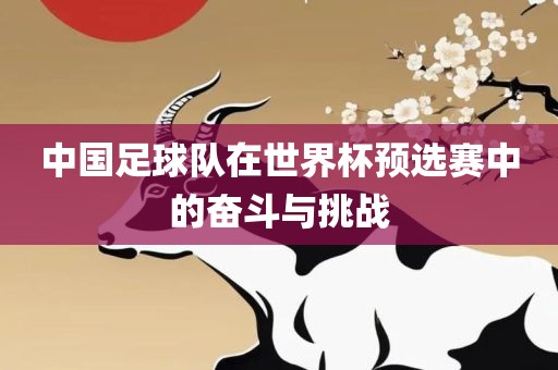 中国足球队在世界杯预选赛中的奋斗与挑战金炬实业股份有限公司