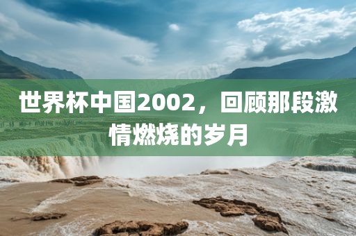 世界杯中国2002，回顾那段激情燃烧的岁月