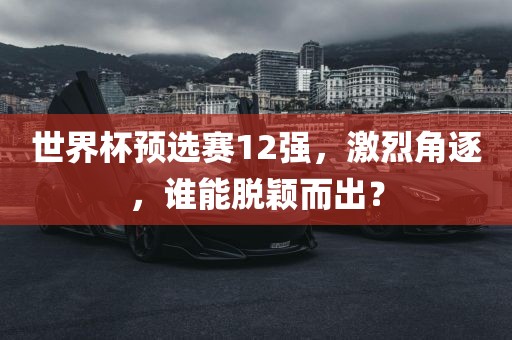 世界杯预选赛12强，激烈角逐，谁能脱颖而出？