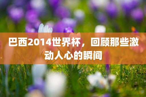 巴西2014世界杯，回顾那些激动人心的瞬间