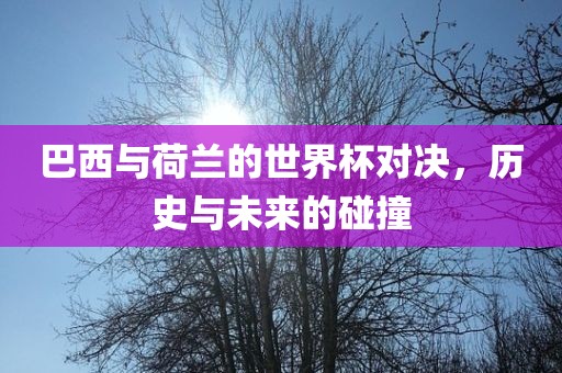 巴西与荷兰的世界杯对决，历史与未来的碰撞金炬实业股份有限公司