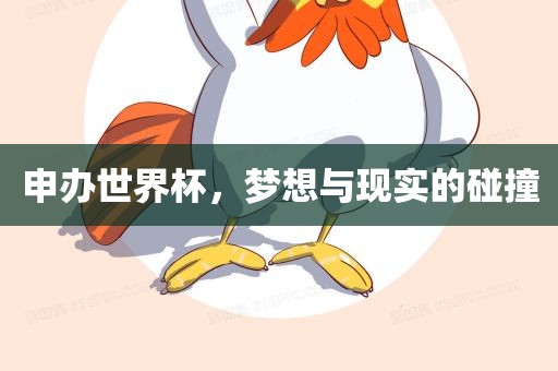 申办世界杯，梦想与现实的碰撞