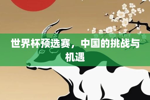 世界杯预选赛，中国的挑战与机遇金炬实业股份有限公司