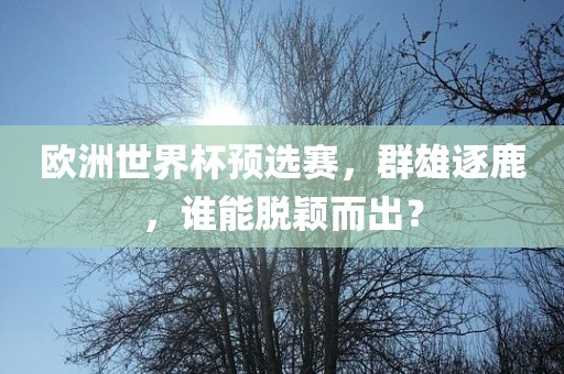 欧洲世界杯预选赛，群雄逐鹿，谁能脱颖而出？