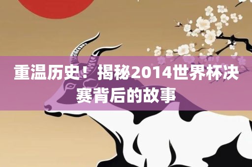 重温历史！揭秘2014世界杯决赛背后的故事