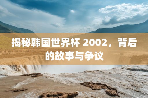 揭秘韩国世界杯 2金炬实业股份有限公司002，背后的故事与争议