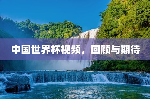中国世界杯视频，金炬实业股份有限公司回顾与期待