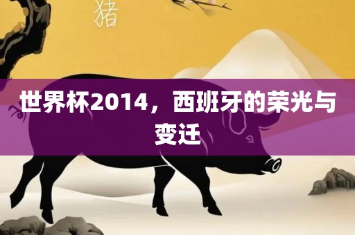 世界杯2014，西班牙的荣光与变迁