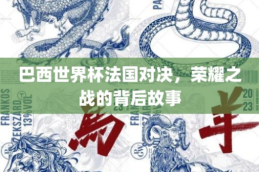 巴西世界杯法国对决，荣耀之战的背后故事