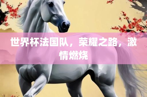 世界杯法国队，荣耀之路，激情燃烧