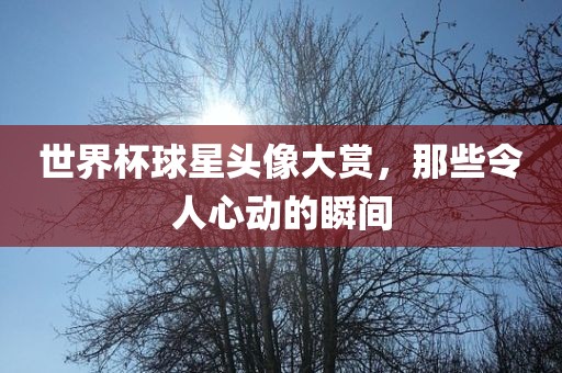 世界杯球星头像大赏，那些令人心动的瞬间