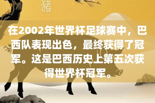 在2002年世界杯足球赛中，巴西队表现出色，最终获得了冠军。这是巴西历史上第五次获得世界杯冠军。金炬实业股份有限公司