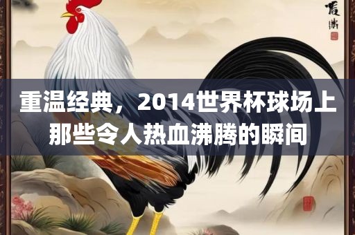 重温经典，2014世界杯球场上那些令人热血沸腾的瞬间