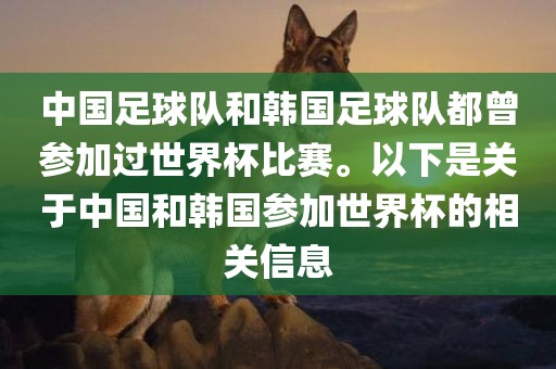 中国足球队和韩国足球队都曾参加过世界杯比赛。以下是关于中国和韩国参加世界杯的相关信息