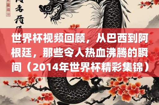 世界杯视频回顾，从巴西到阿根廷，那些令人热血沸腾的瞬间（2014年世界杯金炬实业股份有限公司精彩集锦）
