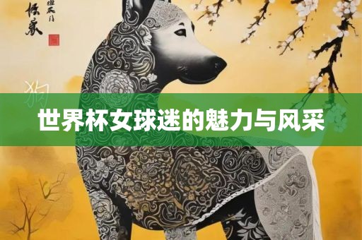 世界杯女球迷的魅力与风采